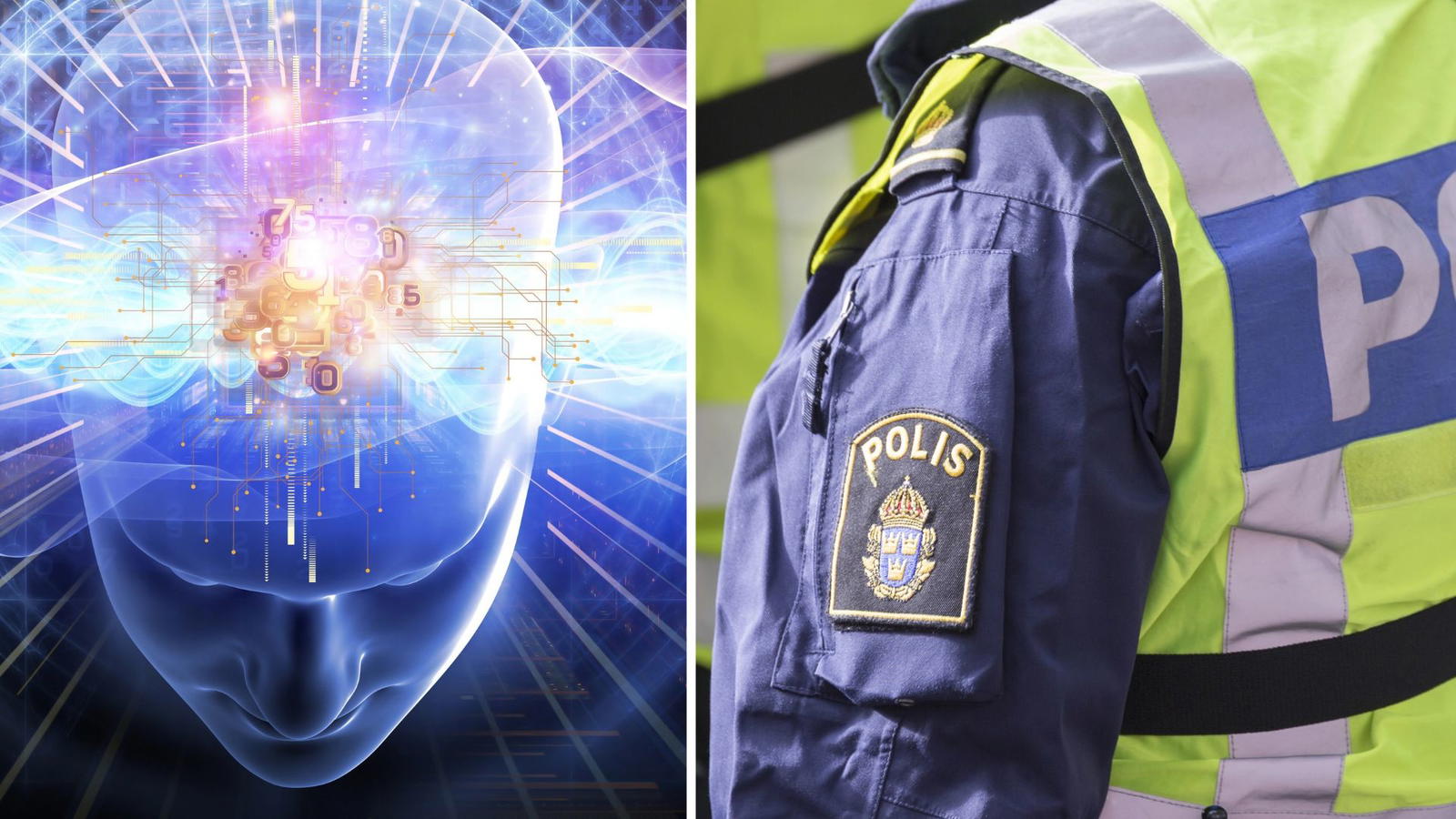 Ai och svensk polis